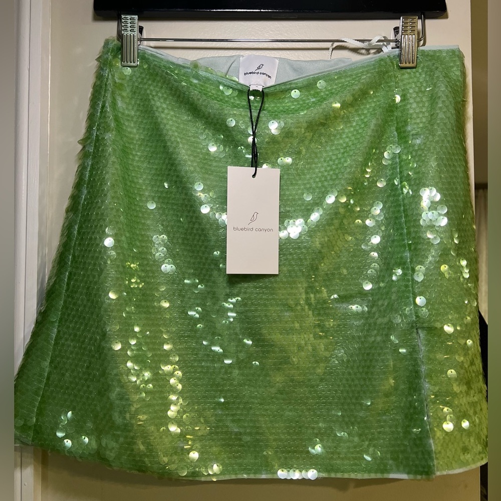 Green Sequence Mini Skirt and Top